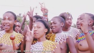 Zulu tribes Siphesihle celebrates uMhlonyane dance