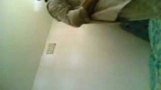 Clip016.3Gp