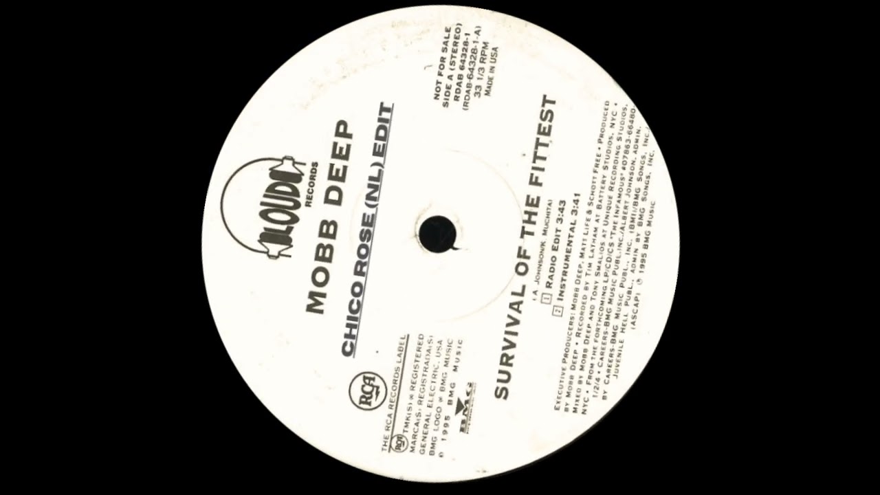 Mobb Deep - Survival Of The Fittest (Chico Rose (NL) Edit) - YouTube