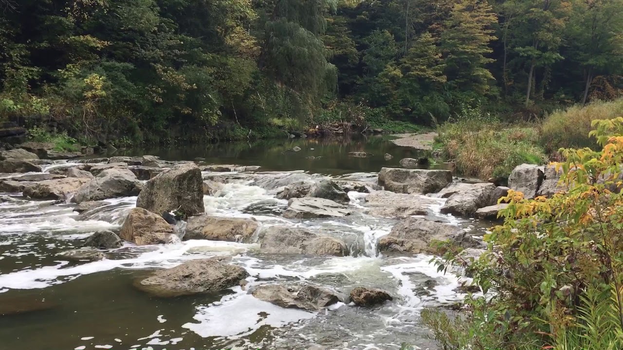 Highland Creek Morningside Park Scarborough Ontario YouTube