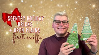 SCENTSY HOLIDAY BRICKS + OPEN PLAINS COLLECTION FIRST SNIFFS