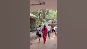 TIRUMALA Tour By Walk 🙏 ALIPIRI METTLU #tirumala #tirupati #tirumalabalaji #venkateswaraswami