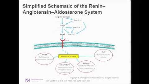 The Updated Heart Failure Guidelines;  Incorporating New Therapeutics