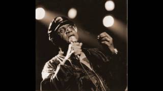 Mighty Sam Mcclain  Im Tired Of These Blues