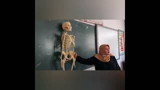أ.سمر الغف وجانب من درس الأحياء .. والهيكل العظمي ..