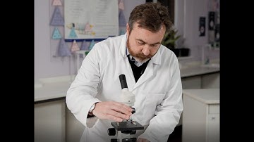 Pearson Edexcel (9-1) – GCSE Combined Science and GCSE Biology – Looking at cells