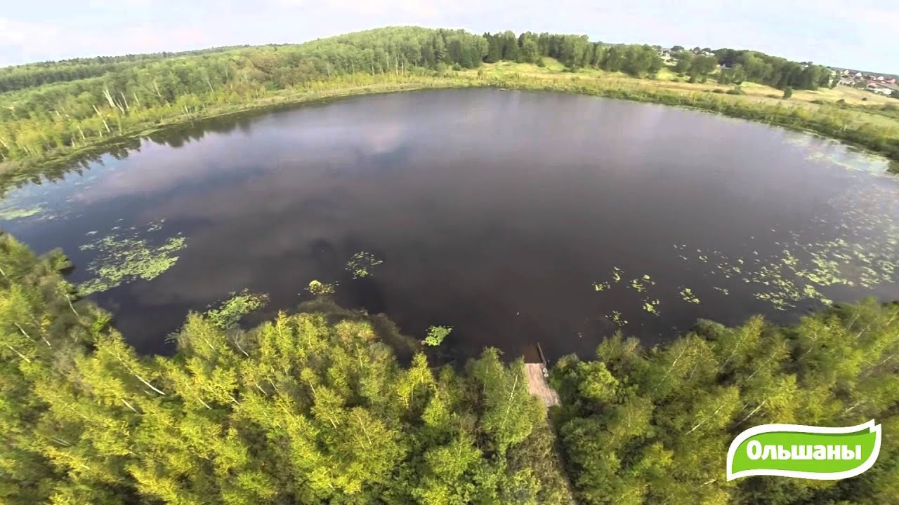 Сбоевское озеро дмитровский район Сбоевское озеро дмитровский район