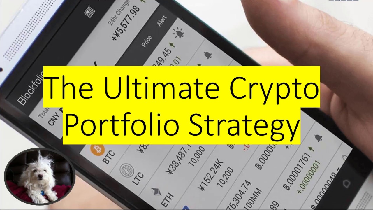 crypto portfolio examples