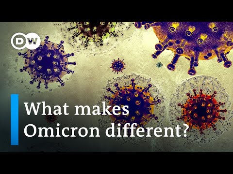 Omicron: What we know so far about the new COVID-19 variant | DW News