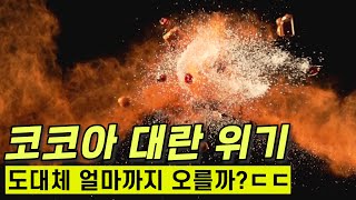 와..완전 난리난 초콜릿 시장 충격 근황ㄷㄷ🔥 사상 최대 위기 터질까?