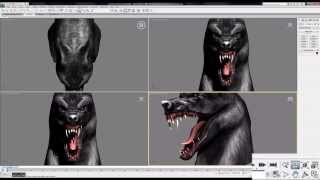 Introduction To Interface Viewport In Max