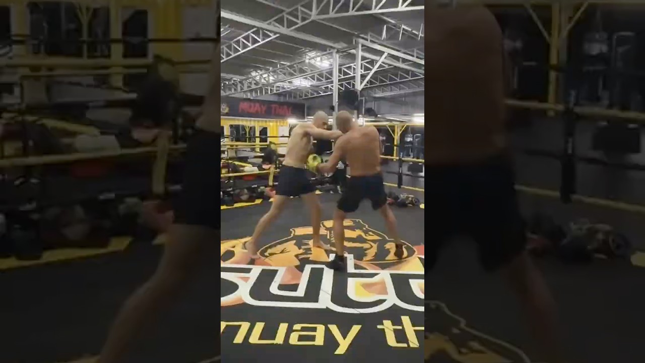 Amazing knockout 💥 