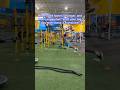 Athletes train differently. Add these 3 exercises to your leg day for more explosiveness! ⚡🏆 🚀