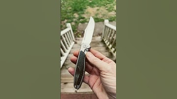 Sharp by Design Mini Tempest Bowie!! #youtubeshorts #shorts #youtubeshort #short