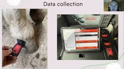 An introduction to Hoof and Gait analysis in horses - webinar