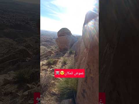 سلحفات نادرة اشارة قوية 😜👍 #nature
