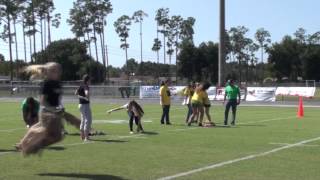 Potato Sack Race