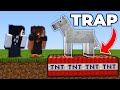 This HORSE Killed a Player on this Minecraft Server...