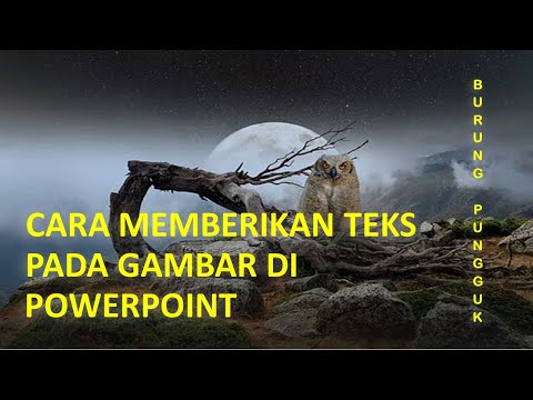 Cara menambahkan teks