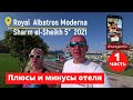 часть #1. отзыв об отеле Royal Albatros Moderna Sharm el-Sheikh 5*.  2021.