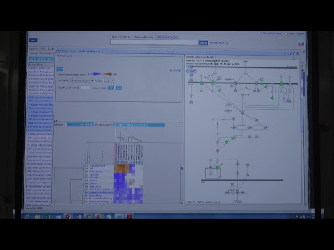 2019 Ingenuity Pathway Analysis Workshop