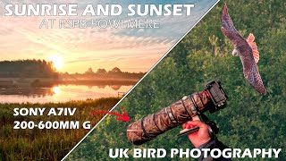 Sunrise and Sunset Bird Photography with Sony 200-600mm lens