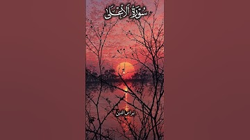 سورة الأعلى بصوت القارئ هزاع البلوشي #اكسبلور #قرآن #قرآن_الكريم #quran #دويتو #راحة_نفسية