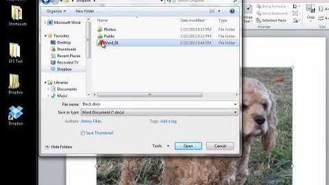 Syncing Files with Dropbox