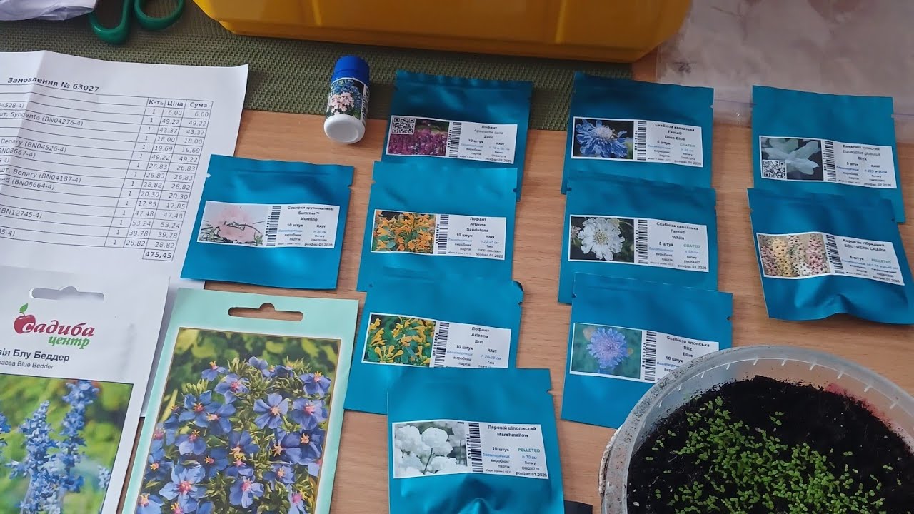 Перші сходи та нове насіння🌻🪻🌾