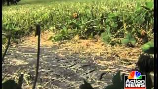 Families Cemetery needs to soul search