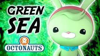 Octonauts  The Green Sea | Cartoons for Kids | Underwater Sea Education