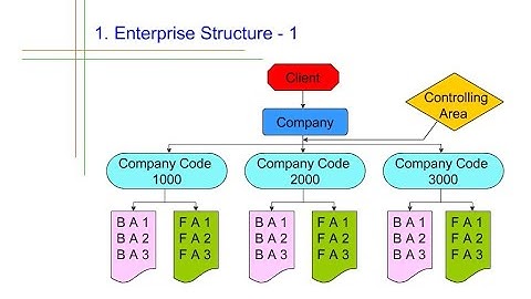 Enterprise/Organizational Structure under SAP FICO (Theory Part) Class 1