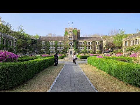 Yonsei University Campus Tour on a Sunny Spring Day 4K Virtual Tour