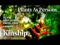 Kinship plants as persons