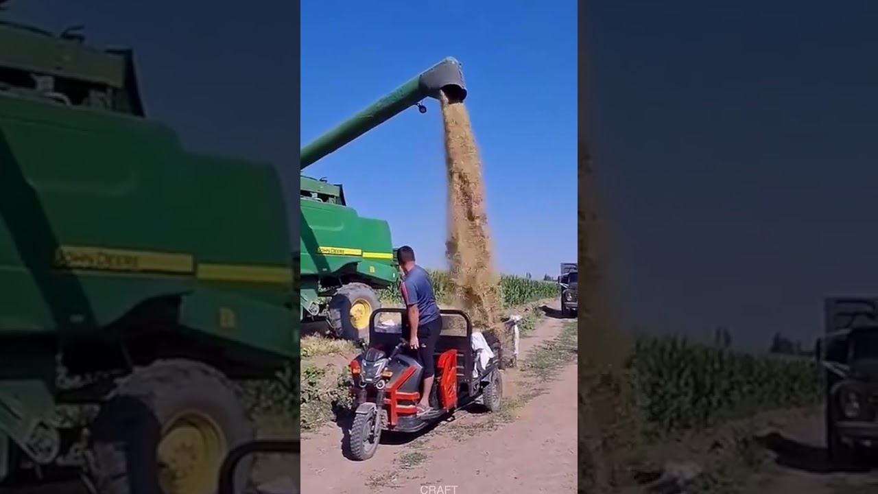 Insane Teamwork! Harvester + Tricycle – Rice Transport in Seconds!