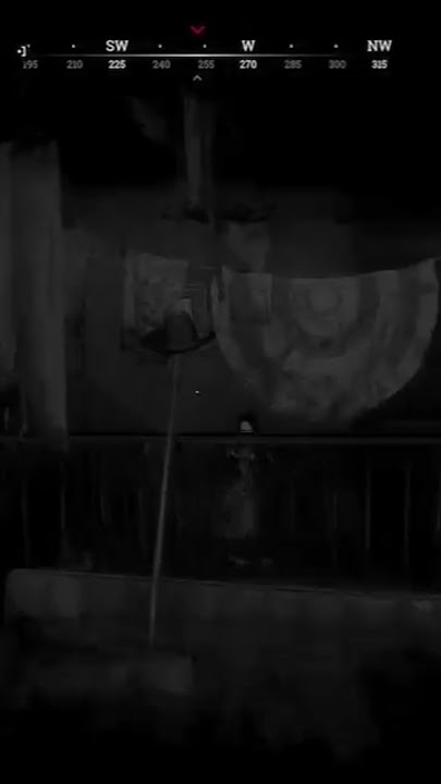 Pain Sense & Beetles... Overpowered!