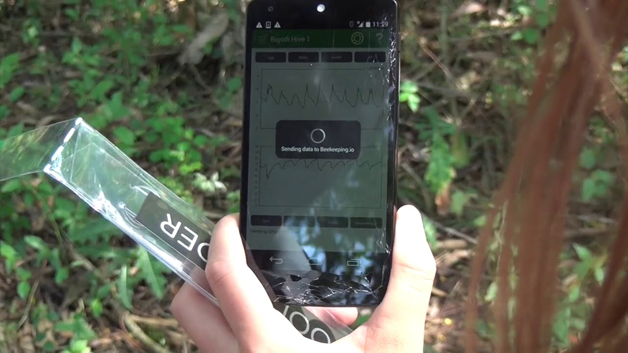 Kasiisi Project Bee Education Movie