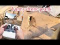 Dog Prank Drone | Funny Reactions