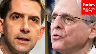 'Why Haven't Charges Been Brought Against Protesters?': Tom Cotton Grills AG Merrick Garland