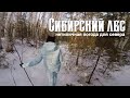 Осенний лес. Последние деньки в Сибири, перед переездом в Турцию.