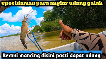 DI SINI TERNYATA LUBUKNYA UDANG GALAH JENGGO SUNGAI DURIAN TELUK INTAN ‼PRAWN FISHING