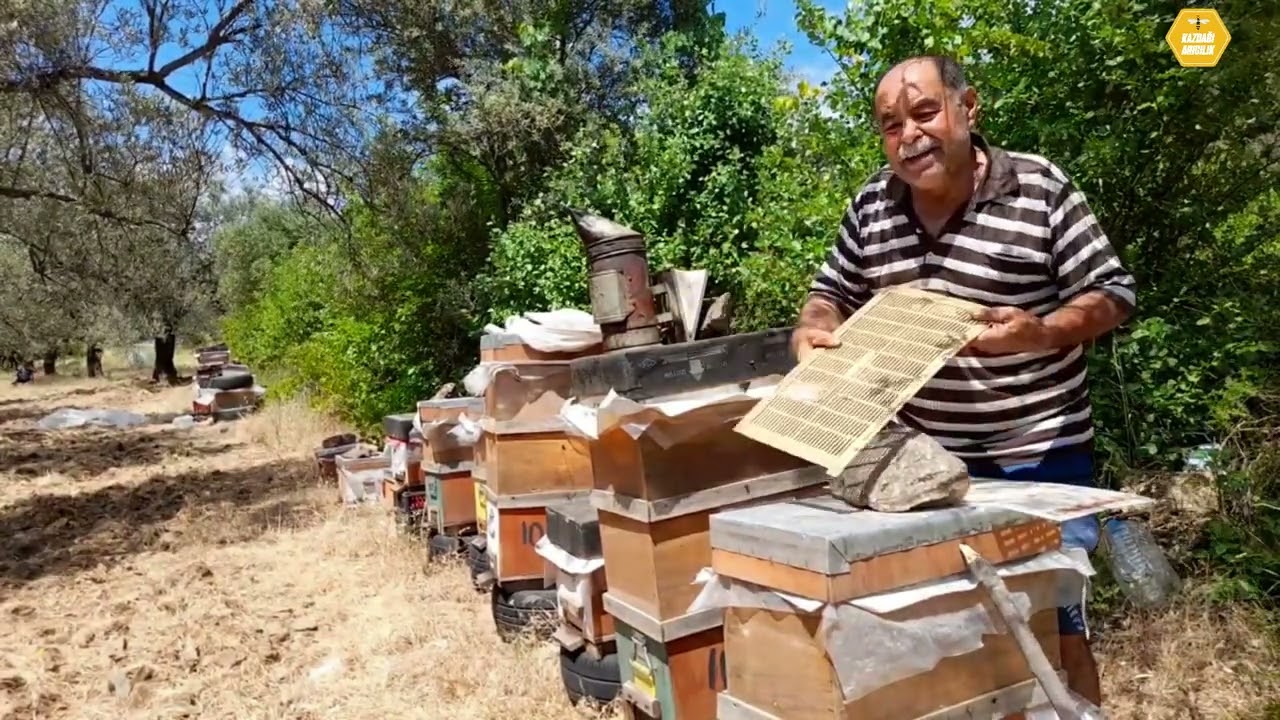 Arı Birleştirmenin En Kolay Yolu Bu Videoda !