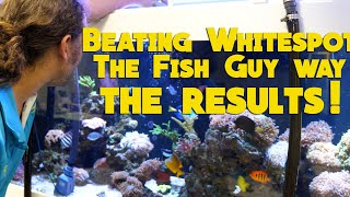 Beating Whitespot The Fish Guy way  The Results!