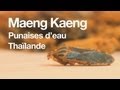 T As Déjà Goûté Maeng Kaeng T As Déjà Goûté Maeng Kaeng