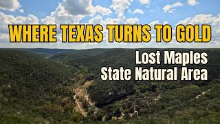 Lost Maples State Natural Area — Texas's Most Stunning Fall Colors