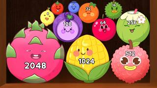 Watermelon Game 2048 🍉 | Level Up Fruits & Merge to 2048! Suika ASMR Gameplay