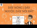 Giải thích dây nóng, dây nguội và dây nối đất của nguồn điện là gì?| Tri thức nhân loại