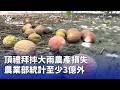 農業損失問題