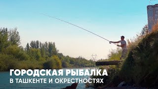 РЫБАЛКА В ТАШКЕНТСКИХ РЕЧКАХ (часть 2)