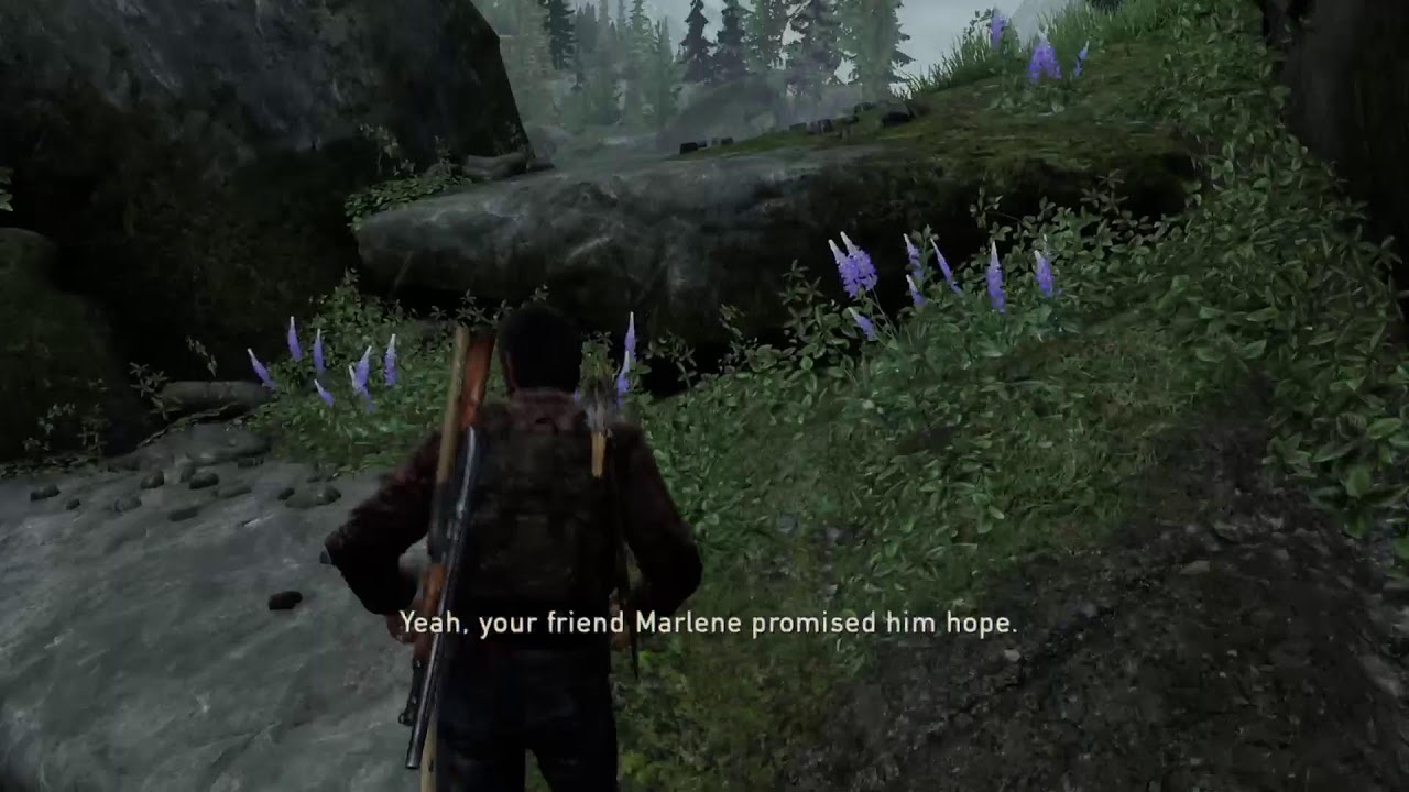 The Last of Us & A Six Pack